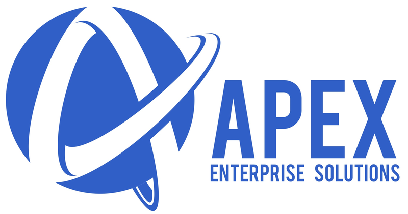 Apex Enterprise Solutions Inc cover